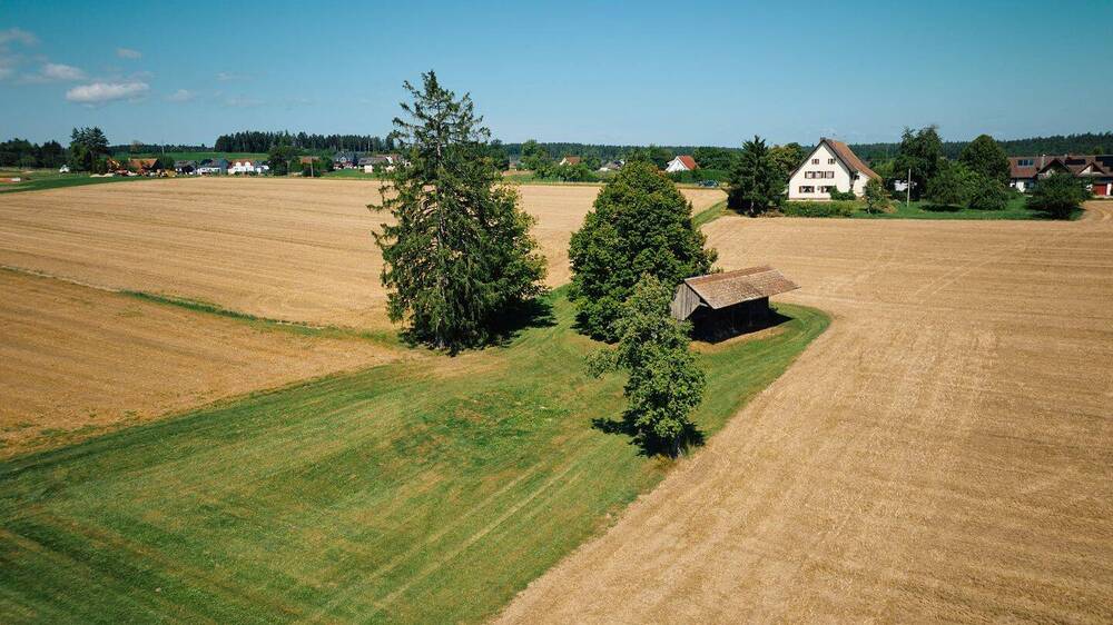 Einfamilienhaus Eschbronn Locherhof - 6 Zimmer, 163 m&sup2;, 780.000&euro; | Angebot:25670375