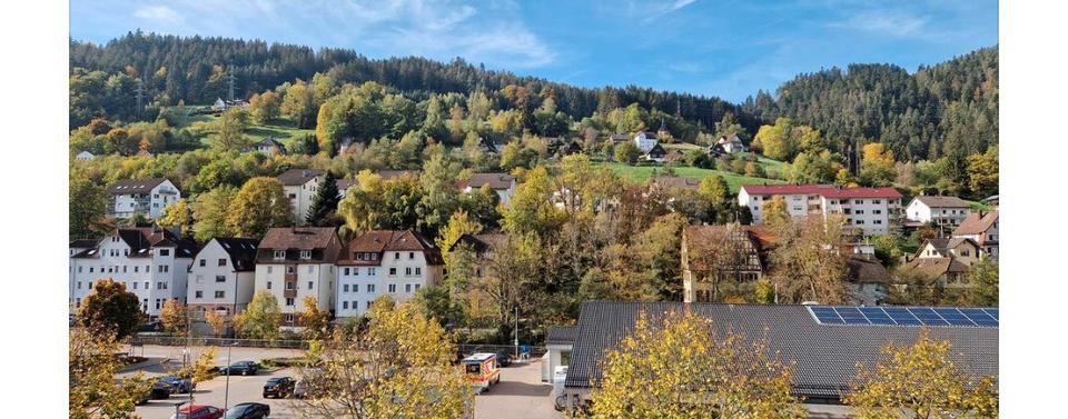 Etagenwohnung Schramberg - 3 Zimmer, 65 m&sup2;, 850&euro; | Angebot:26671447
