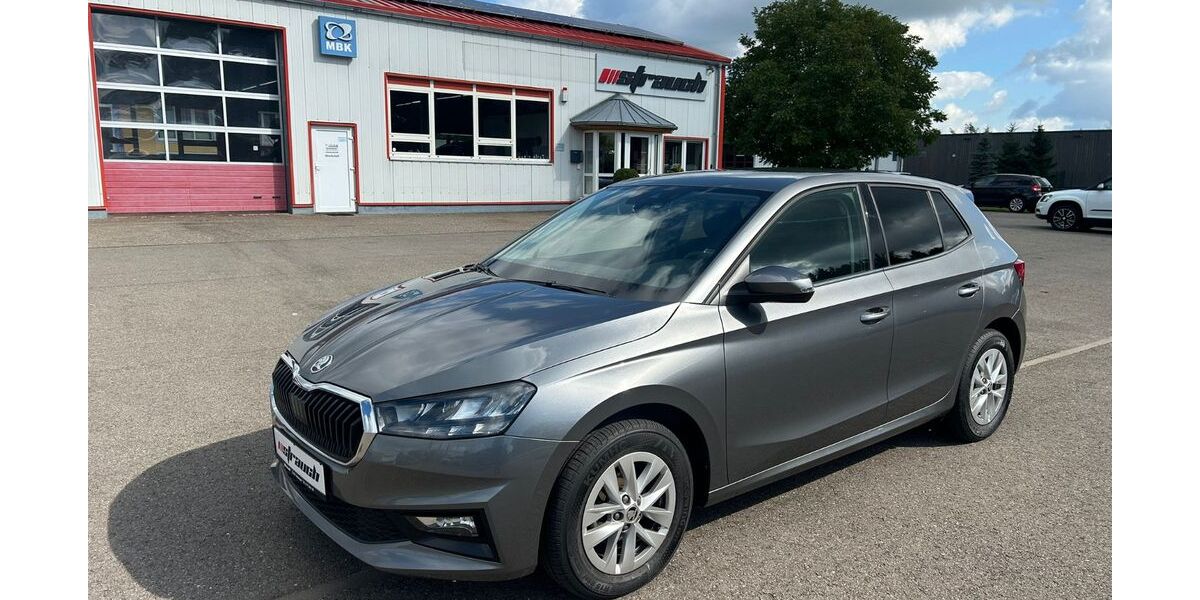 Skoda Fabia 10.100 km 17.880 &euro; Geisingen 78187