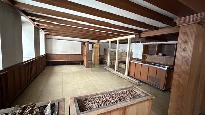 HISTORISCH, MITTEN IM SCHWARZWALD - Gewerbeobjekt Sankt Blasien | Angebot:25837393