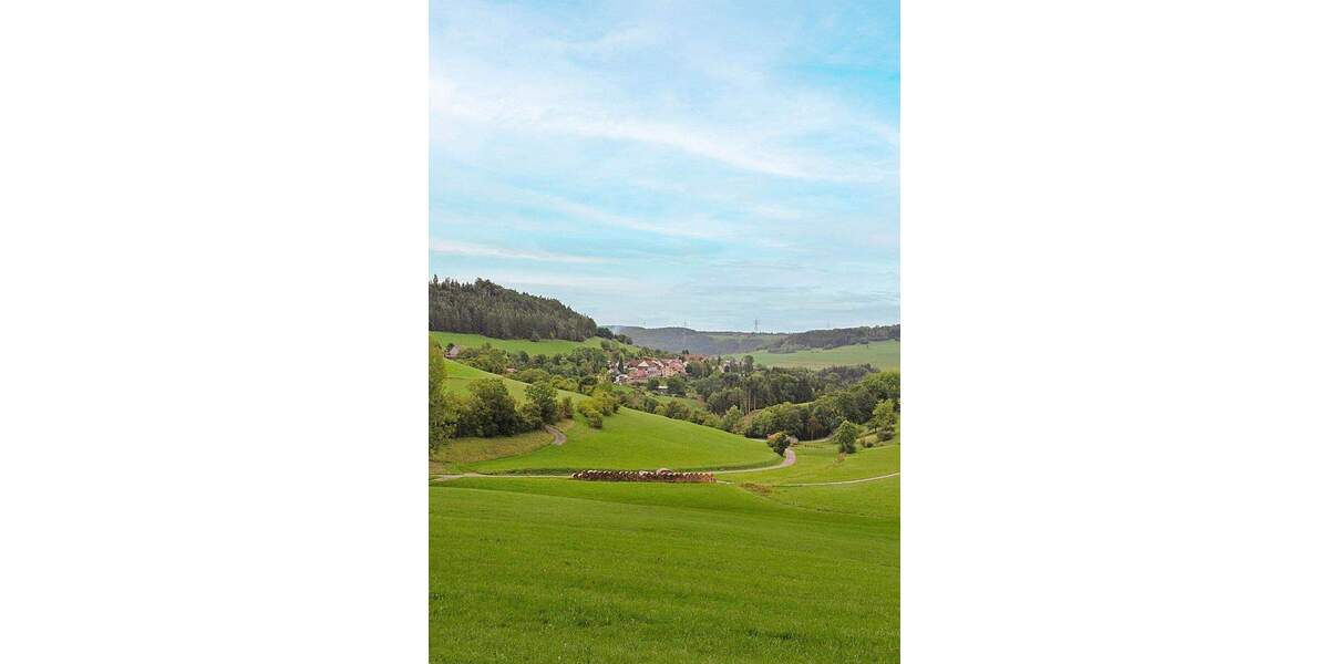 Mehrfamilienhaus, Wohnhaus Bonndorf Brunnadern - 1 Zimmer, 225 m&sup2;, 890.000&euro; | Angebot:25776222