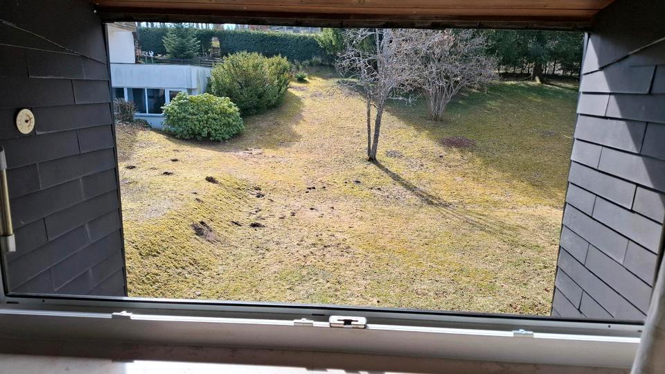 Etagenwohnung Schönwald im Schwarzwald - 1 Zimmer, 22 m&sup2;, 560&euro; | Angebot:25870603