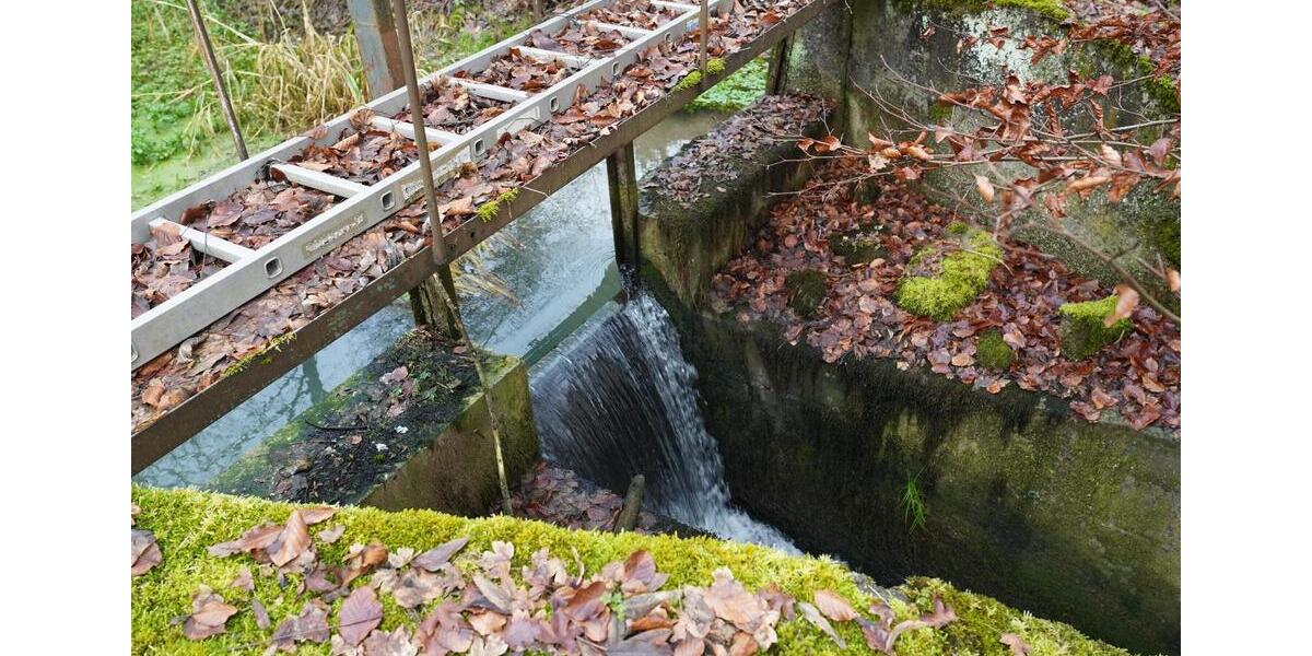 Einfamilienhaus Oberndorf am Neckar - 5 Zimmer, 156 m&sup2;, 1.499.000&euro; | Angebot:23902613