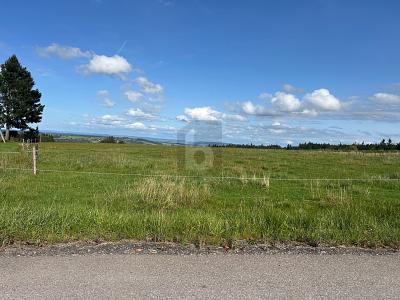 FAMILIEN MIT KLEINEN KINDERN AUFGEPASST! - Grundstück Bonndorf im Schwarzwald | Angebot:25837245