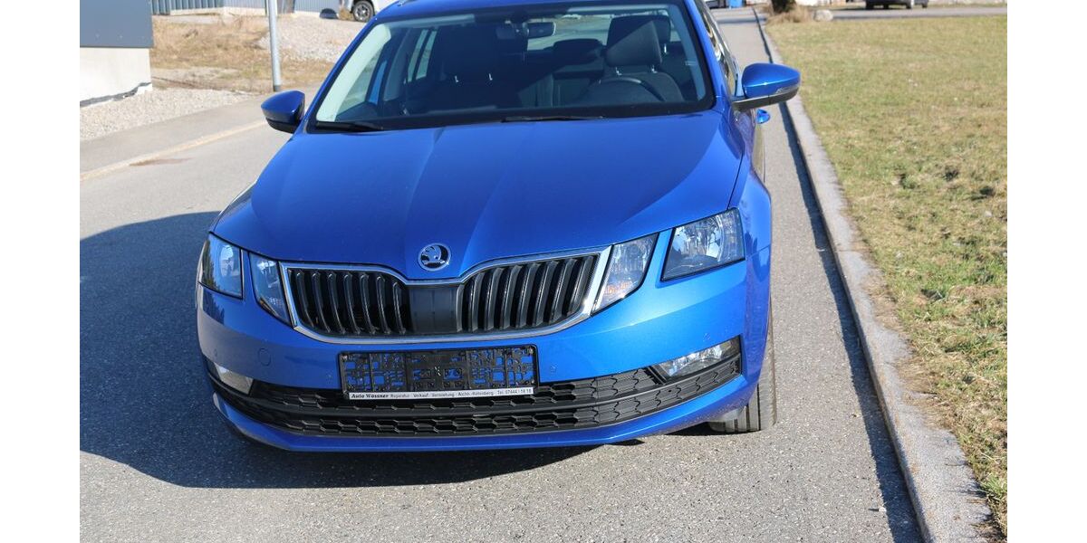 Skoda Octavia 110.000 km 17.490 &euro; Aichhalden-Rötenberg 78733