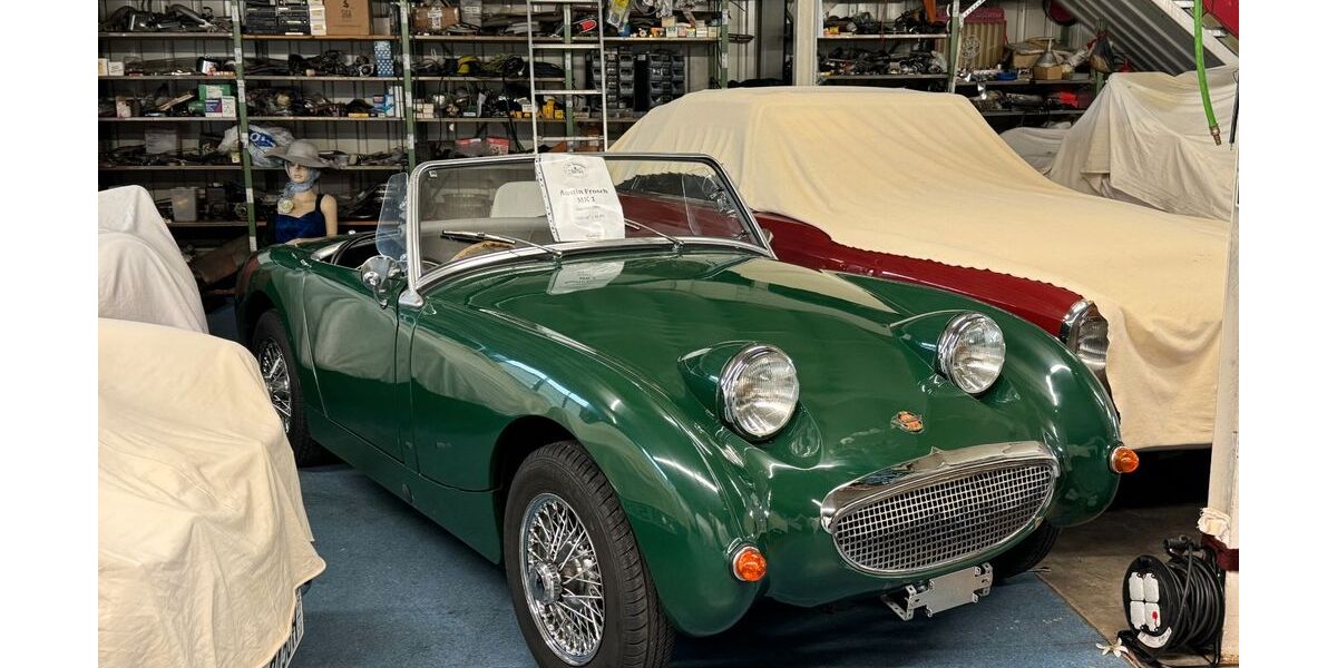 Austin Healey Andere 108.185 km 22.999 &euro; Löffingen 79843