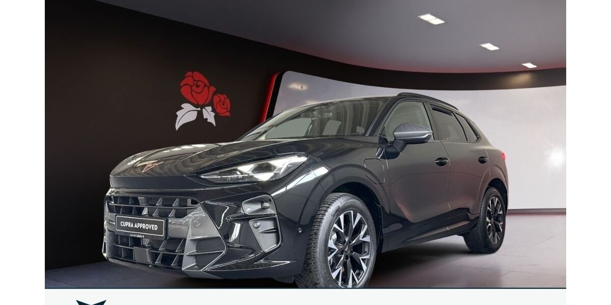 Cupra Terramar 17.200 km 37.950 &euro; Zimmern ob Rottweil 78658