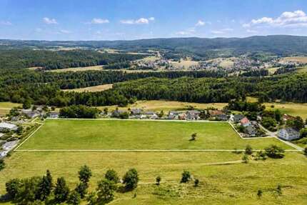 Grundstück Lenzkirch - 900.000&euro; | Angebot:27306878