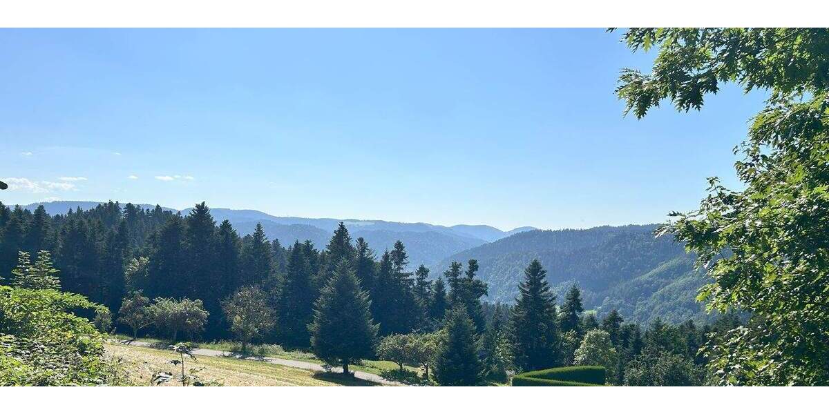 Einfamilienhaus Schenkenzell - 7 Zimmer, 260 m&sup2;, 1.300.000&euro; | Angebot:25682659