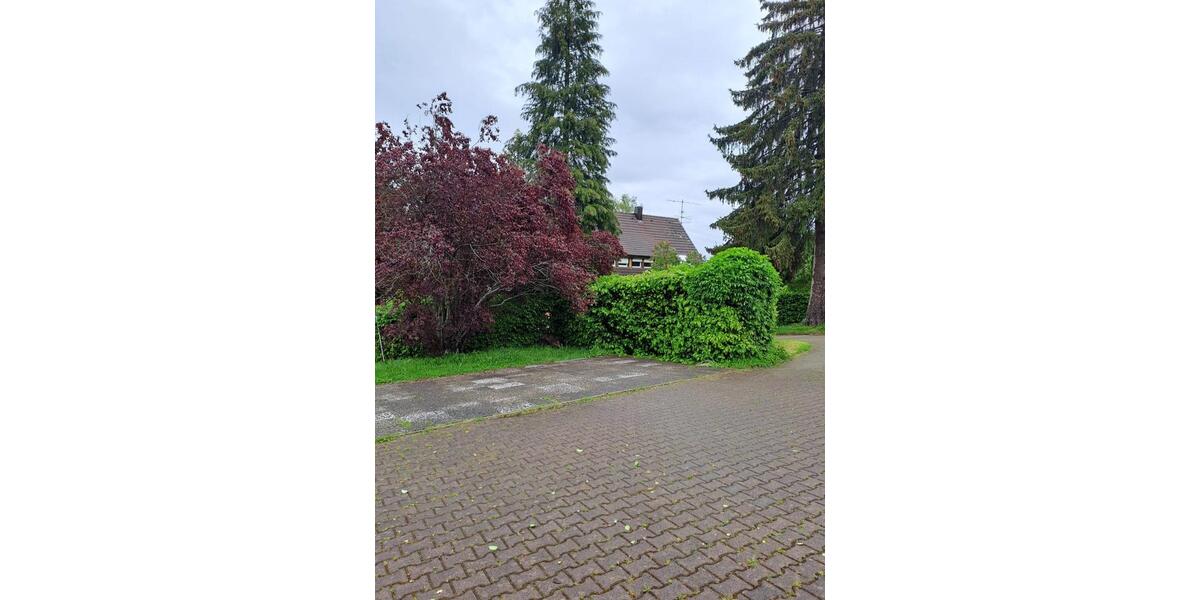 Erdgeschoßwohnung Schramberg - 2 Zimmer, 59 m&sup2;, 550&euro; | Angebot:25120833