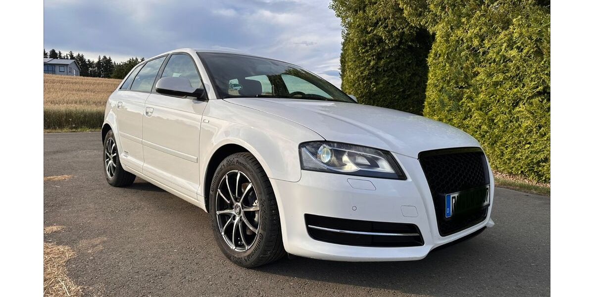Audi A3 248.000 km 6.990 &euro; Rottweil 78628