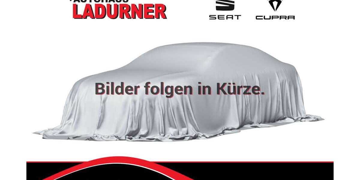 Cupra Formentor 41.200 km 29.930 &euro; Tuttlingen 78532