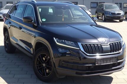 Skoda Kodiaq 173.000 km 19.495 &euro; Zimmern 78658