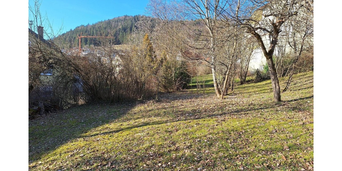 Bauernhaus, Landhaus Reichenbach - 9 Zimmer, 195 m&sup2;, 99.000&euro; | Angebot:25670856