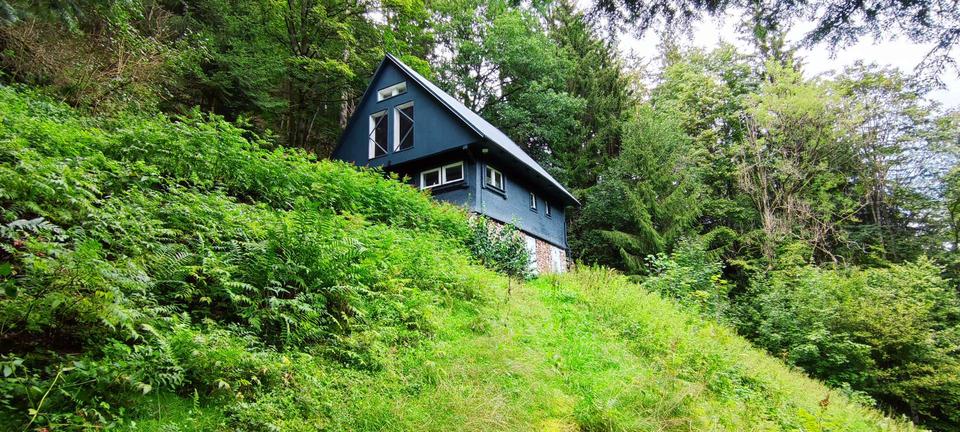 Einfamilienhaus Lauterbach - 3 Zimmer, 150 m&sup2;, 1.000&euro; | Angebot:20970242