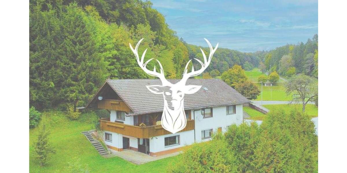 Mehrfamilienhaus, Wohnhaus Bonndorf im Schwarzwald Dillendorf - 1 Zimmer, 370 m&sup2;, 599.000&euro; | Angebot:25685785