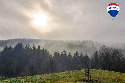 Haus Bonndorf Brunnadern - 1 Zimmer, 225 m&sup2;, 890.000&euro; | Angebot:25776222