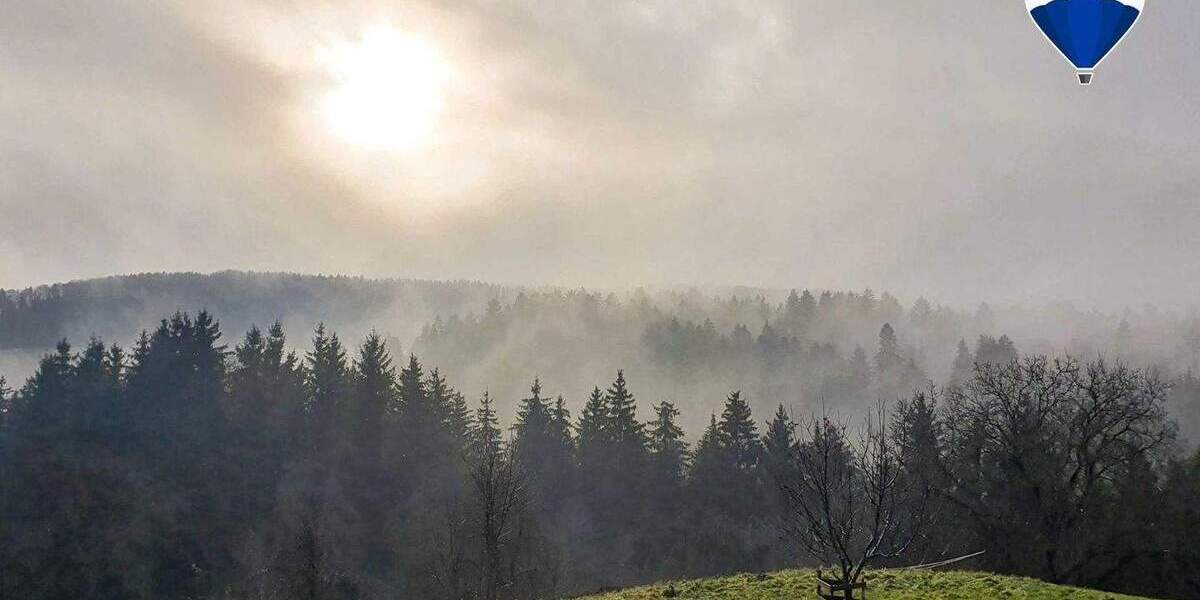 Mehrfamilienhaus, Wohnhaus Bonndorf Brunnadern - 1 Zimmer, 225 m&sup2;, 890.000&euro; | Angebot:25776222