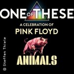 PINK FLOYD by ONE OF THESE - 