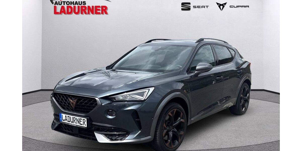 Cupra Formentor 55.800 km 29.530 &euro; Tuttlingen 78532