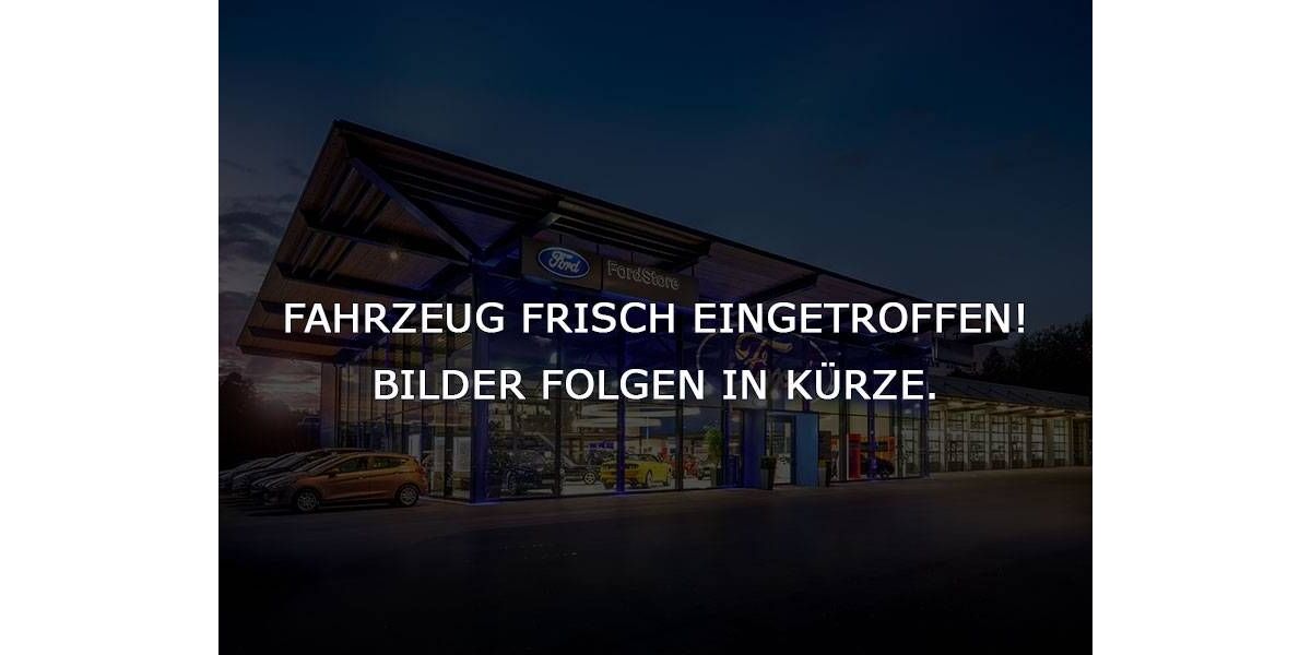 Ford EcoSport 70.860 km 10.870 &euro; Villingen-Schwenningen 78052