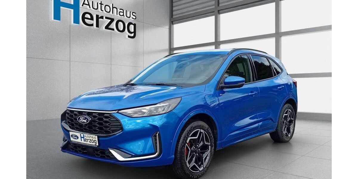 Ford Kuga 18.000 km 36.990 &euro; Schramberg 78713