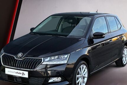 Skoda Fabia 33.950 km 15.289 &euro; Donaueschingen 78166