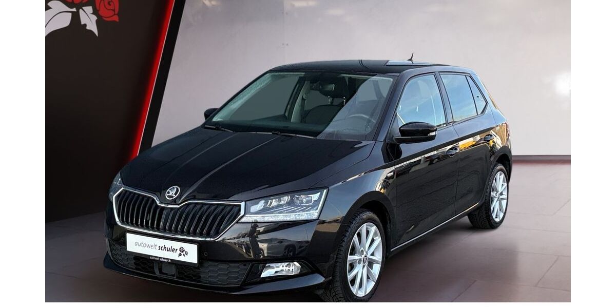 Skoda Fabia 33.950 km 15.289 &euro; Donaueschingen 78166