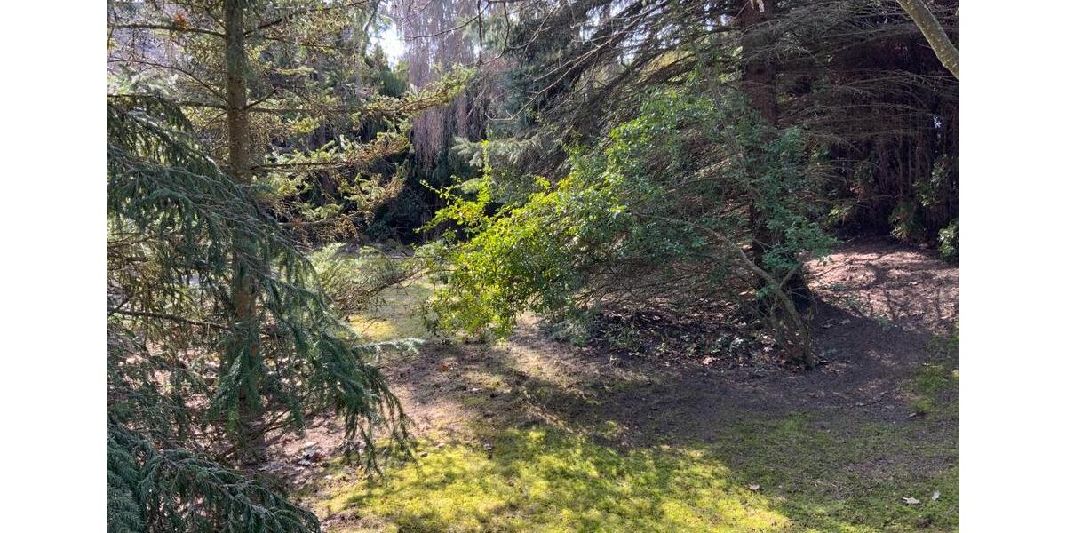 Einfamilienhaus Löffingen - 7.5 Zimmer, 208 m&sup2;, 580.000&euro; | Angebot:25551760