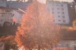 Etagenwohnung Villingen-Schwenningen Schwenningen - 3 Zimmer, 85 m&sup2;, 199.000&euro; | Angebot:26516384