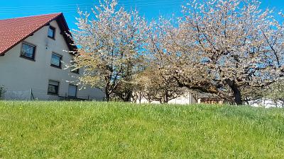 STADTNAH U. PRIVAT WOHNEN MIT RENDITEPOTENTIAL - Grundstück Schömberg | Angebot:27298096