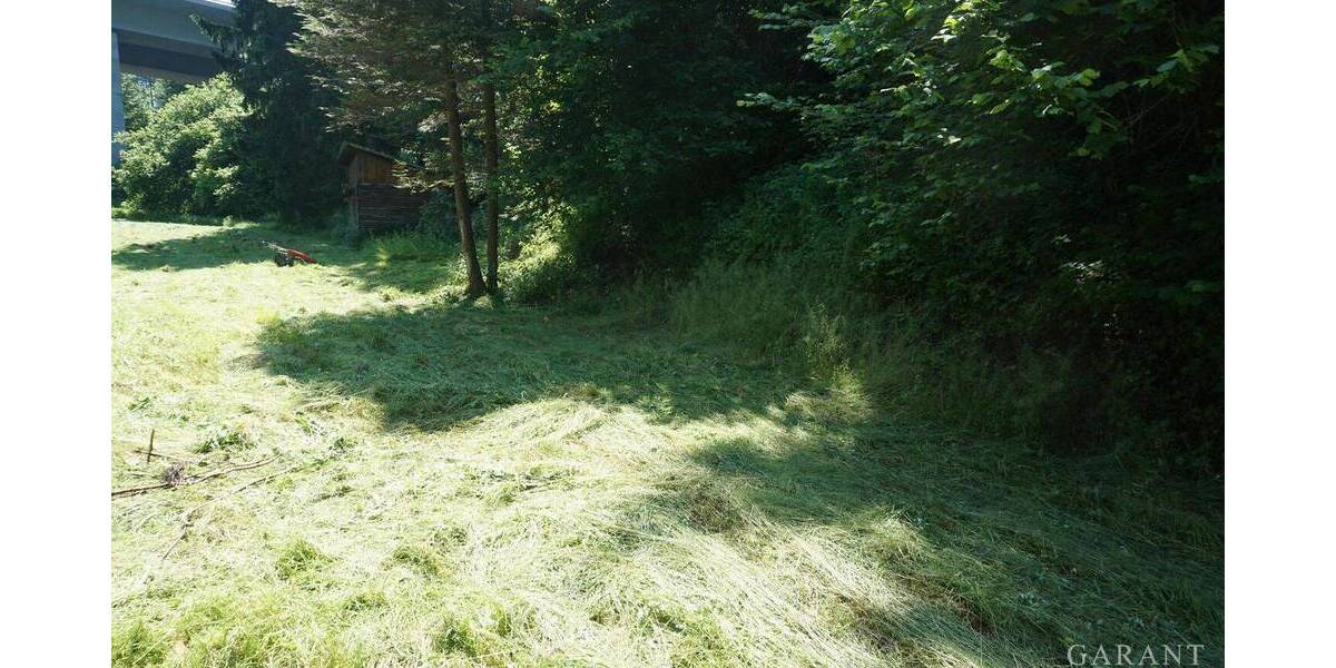 Mehrfamilienhaus, Wohnhaus Epfendorf Trichtingen - 1 Zimmer, 250 m&sup2;, 595.000&euro; | Angebot:25707656