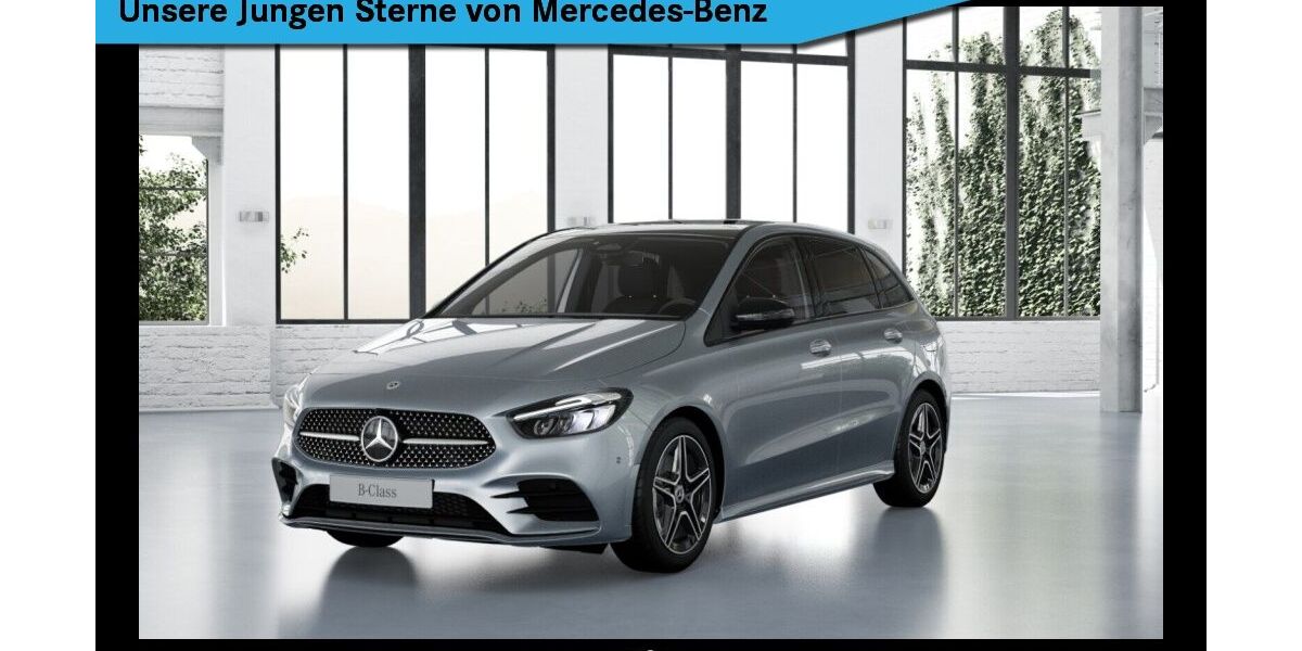 Mercedes-Benz B 250 6.158 km 36.960 &euro; Titisee-Neustadt 79822