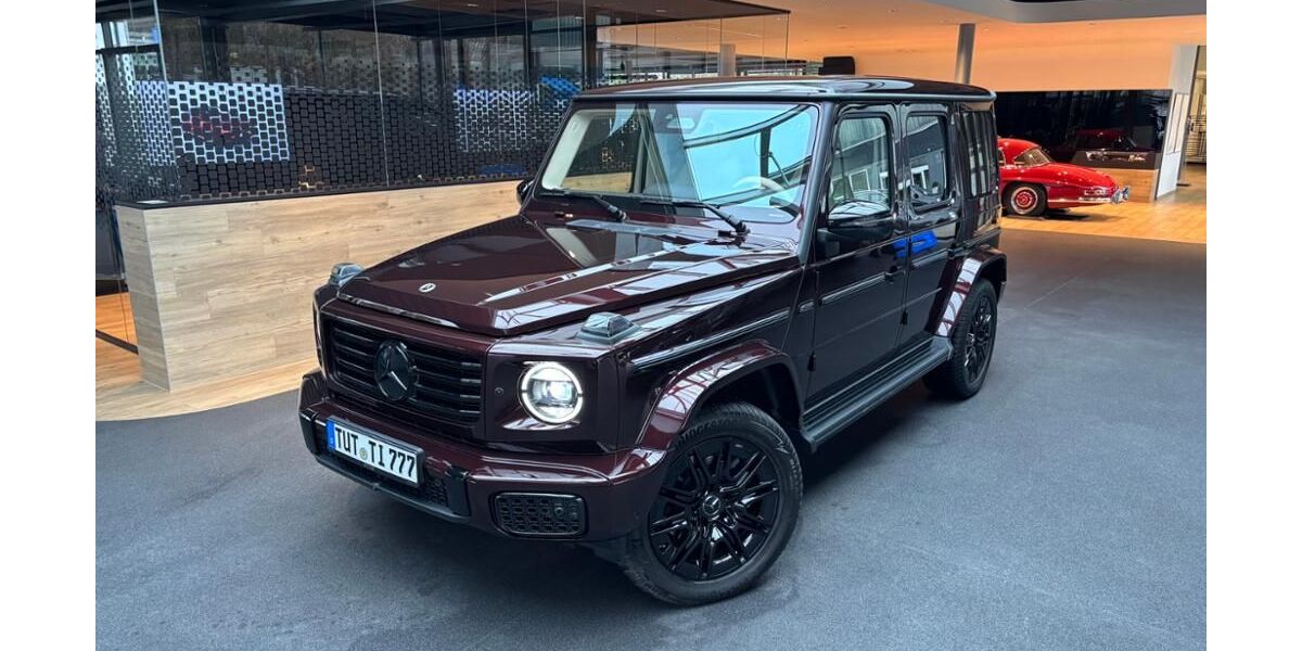 Mercedes-Benz G 450 9.000 km 174.800 &euro; Tuttlingen 78532