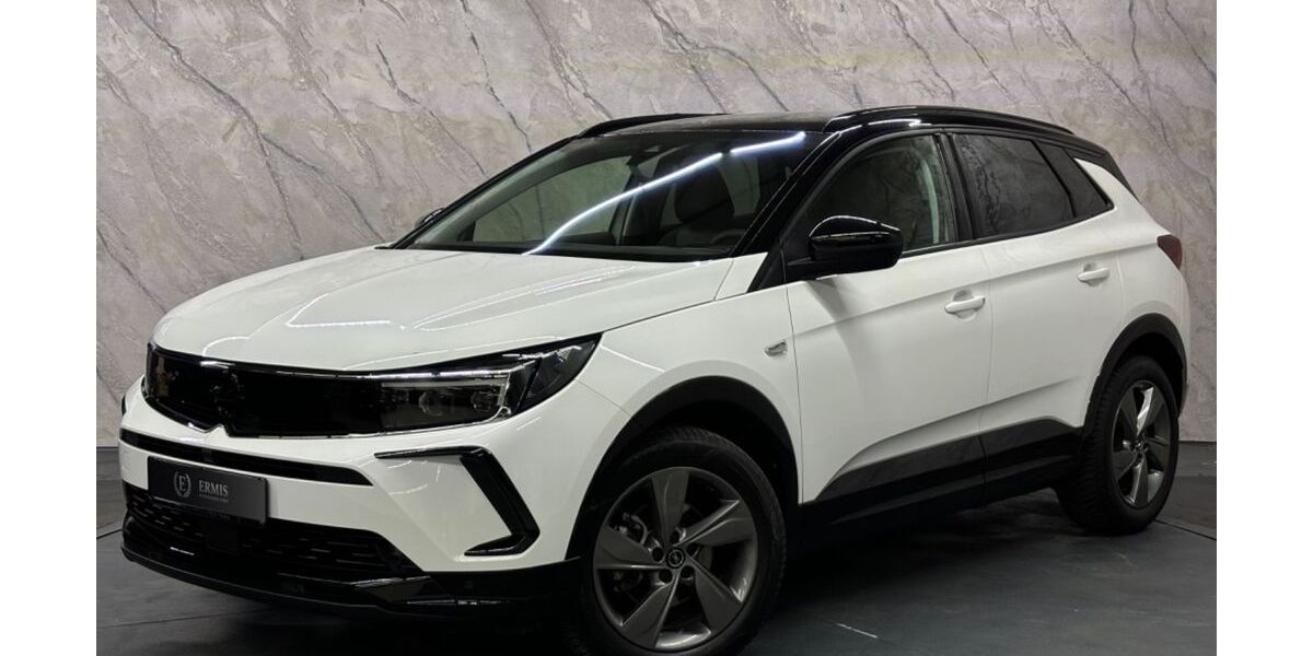 Opel Grandland (X) 39.000 km 21.900 &euro; Spaichingen 78549