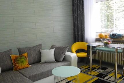 Wohnung Schönwald im Schwarzwald - 1.5 Zimmer, 33 m&sup2;, 450&euro; | Angebot:25346894