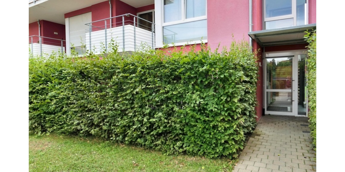 Etagenwohnung Denkingen - 4 Zimmer, 102 m&sup2;, 265.000&euro; | Angebot:25732031