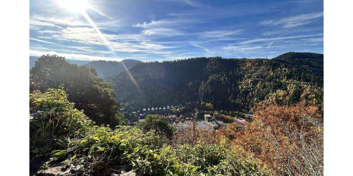 Einfamilienhaus Schramberg - 5 Zimmer, 155 m&sup2;, 295.000&euro; | Angebot:25682662