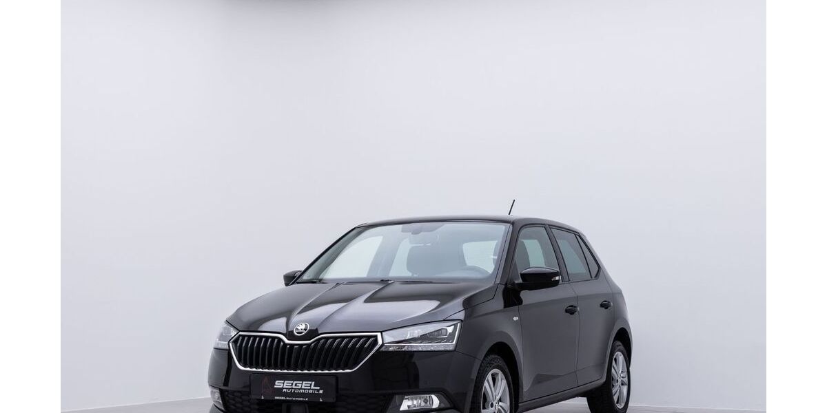 Skoda Fabia 89.600 km 12.890 &euro; Spaichingen 78549