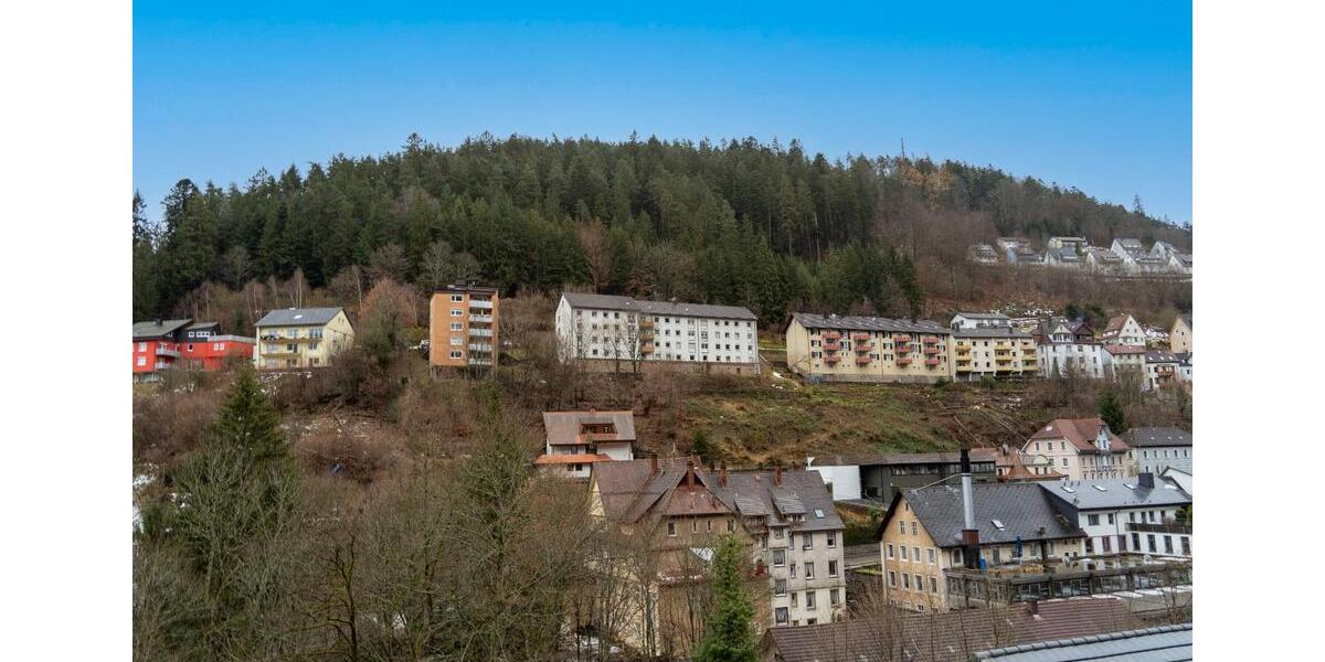 Etagenwohnung Triberg im Schwarzwald - 2 Zimmer, 44 m&sup2;, 300&euro; | Angebot:25450800