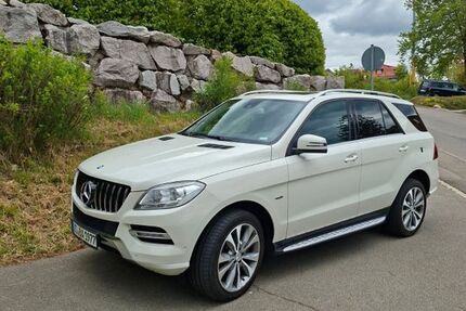 Mercedes-Benz ML 250 150.000 km 21.999 &euro; Unterkirnach 78089
