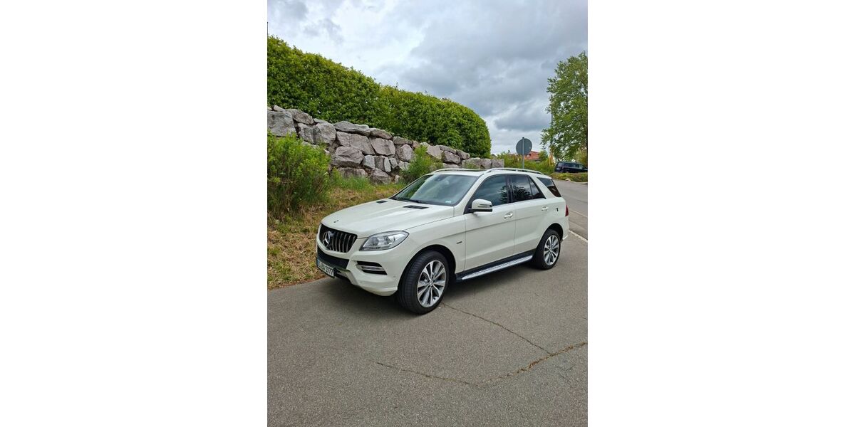 Mercedes-Benz ML 250 150.000 km 21.999 &euro; Unterkirnach 78089