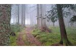 Etagenwohnung Schönwald im Schwarzwald - 1.5 Zimmer, 33 m&sup2;, 89.000&euro; | Angebot:26125805