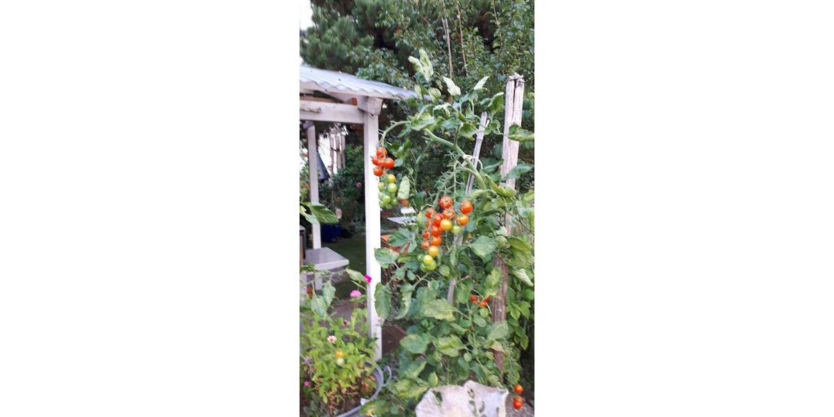 Einfamilienhaus Hornberg Stadtgebiet - 7 Zimmer, 200 m&sup2;, 599.000&euro; | Angebot:25736899