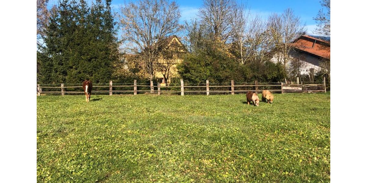 Mehrfamilienhaus, Wohnhaus Donaueschingen - 10 Zimmer, 400 m&sup2;, 1.275.000&euro; | Angebot:26036419