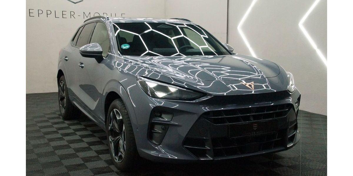 Cupra Terramar 14.965 km 37.980 &euro; Geisingen 78187