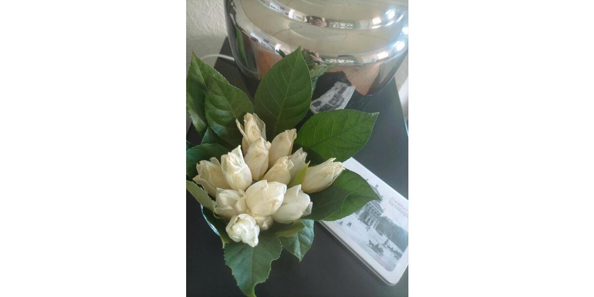 Etagenwohnung Oberndorf am Neckar - 3 Zimmer, 85 m&sup2;, 580&euro; | Angebot:25658030