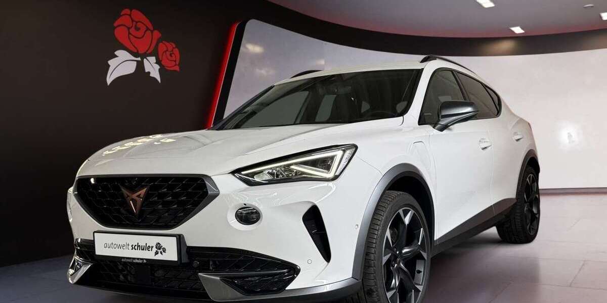 Cupra Formentor 69.100 km 26.980 &euro; Zimmern-Horgen 78658