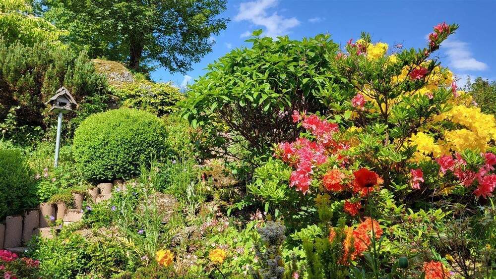 Einfamilienhaus Schonach im Schwarzwald - 6 Zimmer, 300 m&sup2;, 775.000&euro; | Angebot:25734451