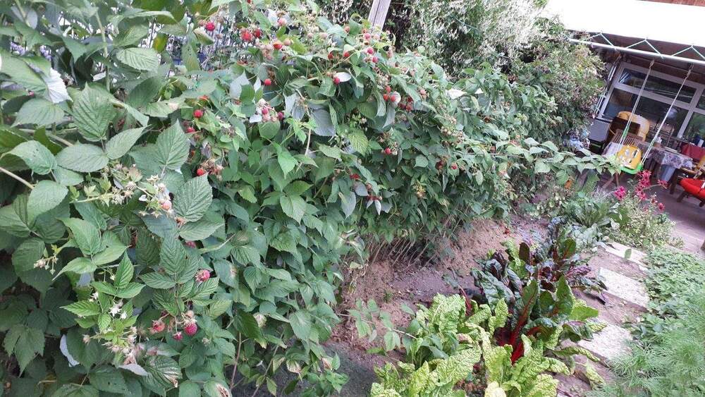 Einfamilienhaus Hornberg Stadtgebiet - 7 Zimmer, 200 m&sup2;, 599.000&euro; | Angebot:25736899